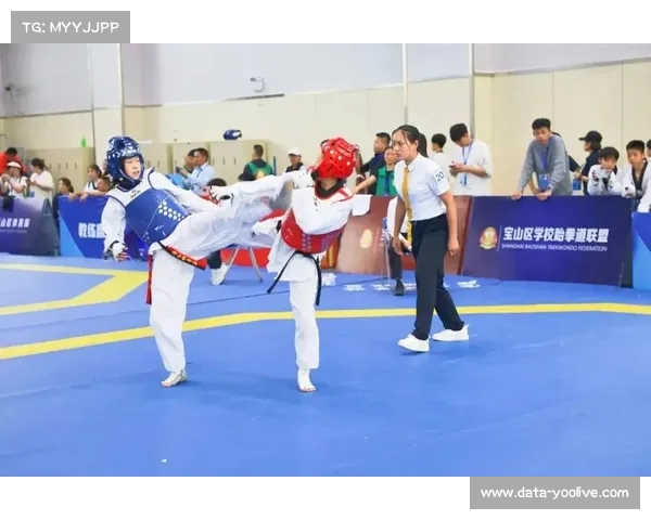 庐江县小学生跆拳道比赛结果揭晓，多名小将凭借扎实功底获奖